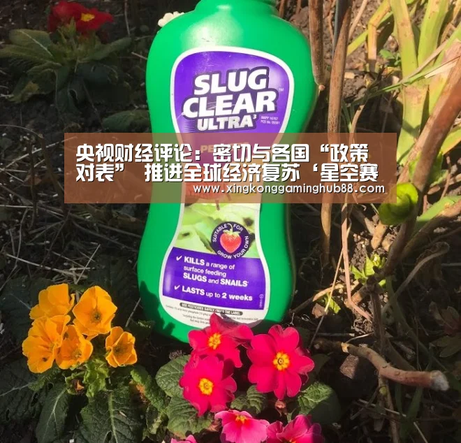 央视财经评论:密切与各国“政策对表” 推进全球经济复苏‘星空赛事,星空官网,星空电竞,星空竞猜’(图1) 星空赛事,星空官网,星空电竞,星空竞猜