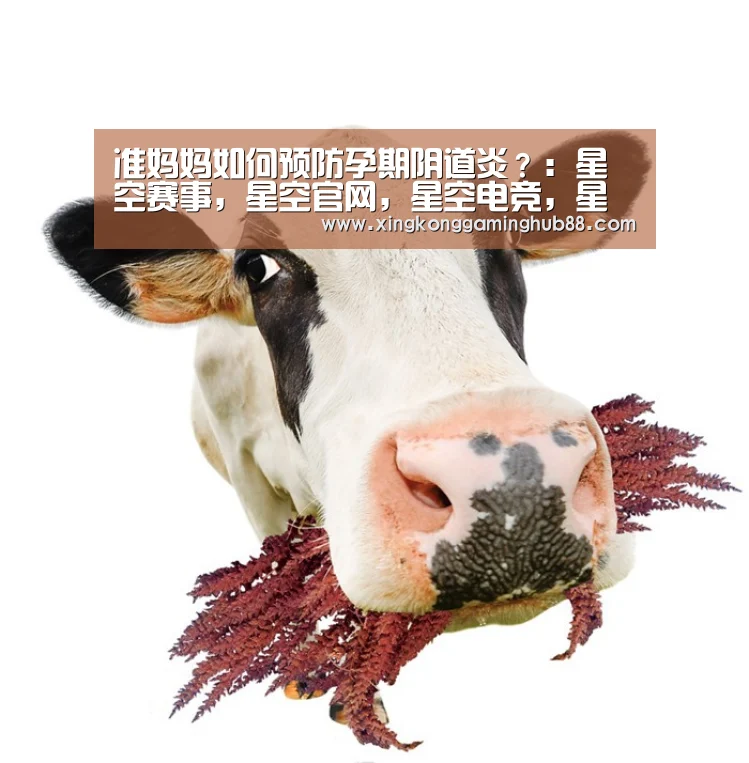 准妈妈如何预防孕期阴道炎?:星空赛事,星空官网,星空电竞,星空竞猜(图3) 星空赛事,星空官网,星空电竞,星空竞猜
