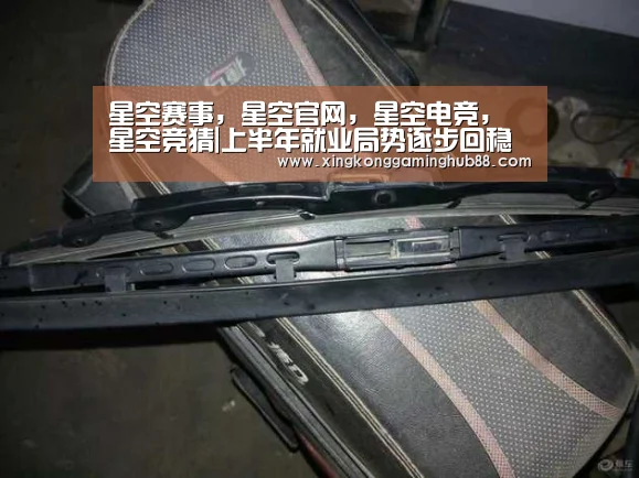 星空赛事,星空官网,星空电竞,星空竞猜|上半年就业局势逐步回稳 城镇新增就业完成全年目标的63%(图4) 星空赛事,星空官网,星空电竞,星空竞猜