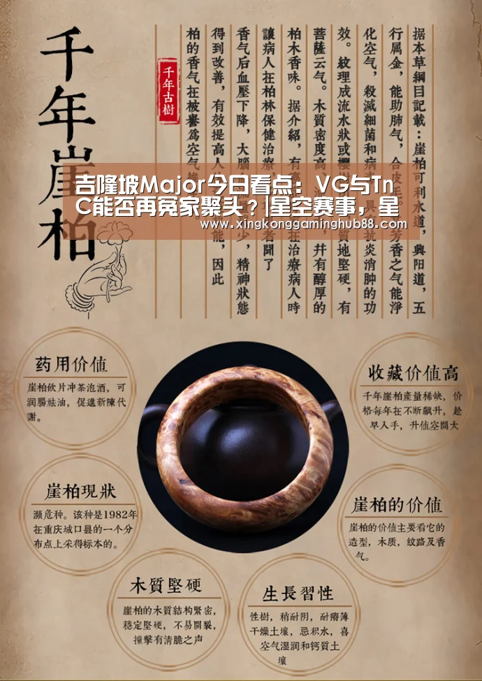 星空赛事，星空官网，星空电竞，星空竞猜
