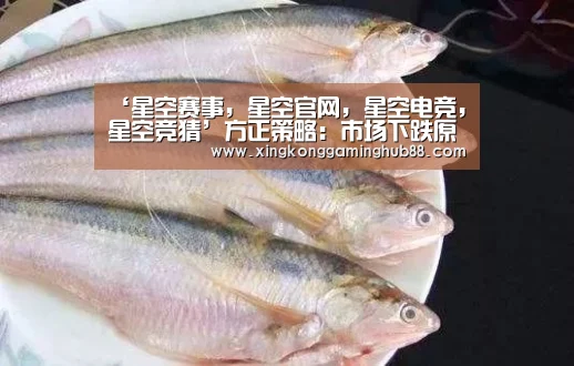 星空赛事，星空官网，星空电竞，星空竞猜