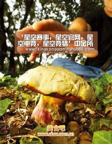 ‘星空赛事,星空官网,星空电竞,星空竞猜’中金所批准建行成为交易结算会员 五大行参与国债期货业务落地(图3) 星空赛事,星空官网,星空电竞,星空竞猜